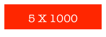 5 X 1000
